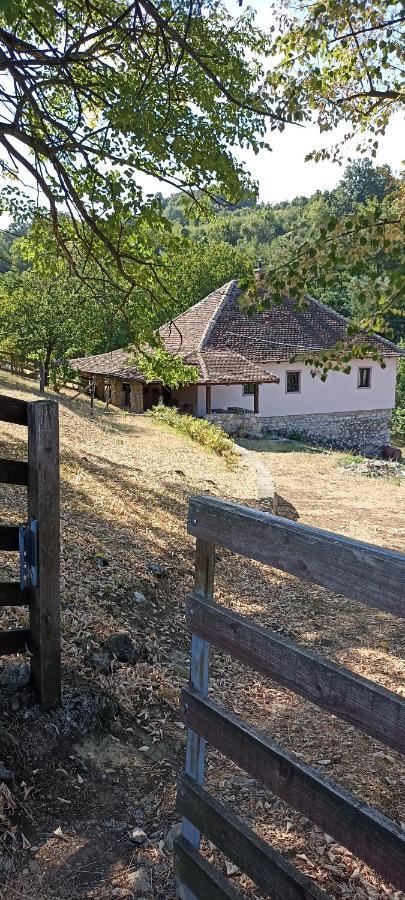 Poljoprivredno Turisticko Domacinstvo Deguric Apartment Valjevo Exterior foto
