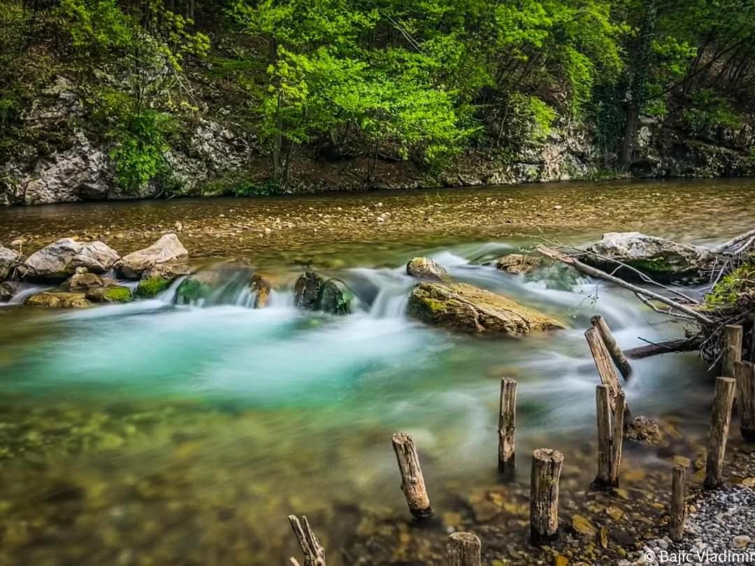 Poljoprivredno Turisticko Domacinstvo Deguric Apartment Valjevo Exterior foto